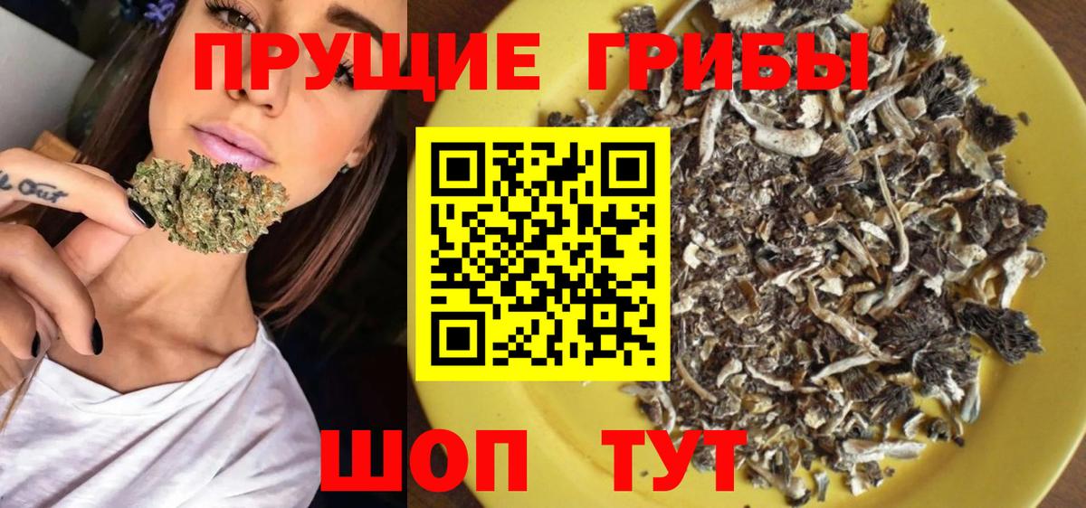 Псилоцибиновые грибы GOLDEN TEACHER  Будённовск 